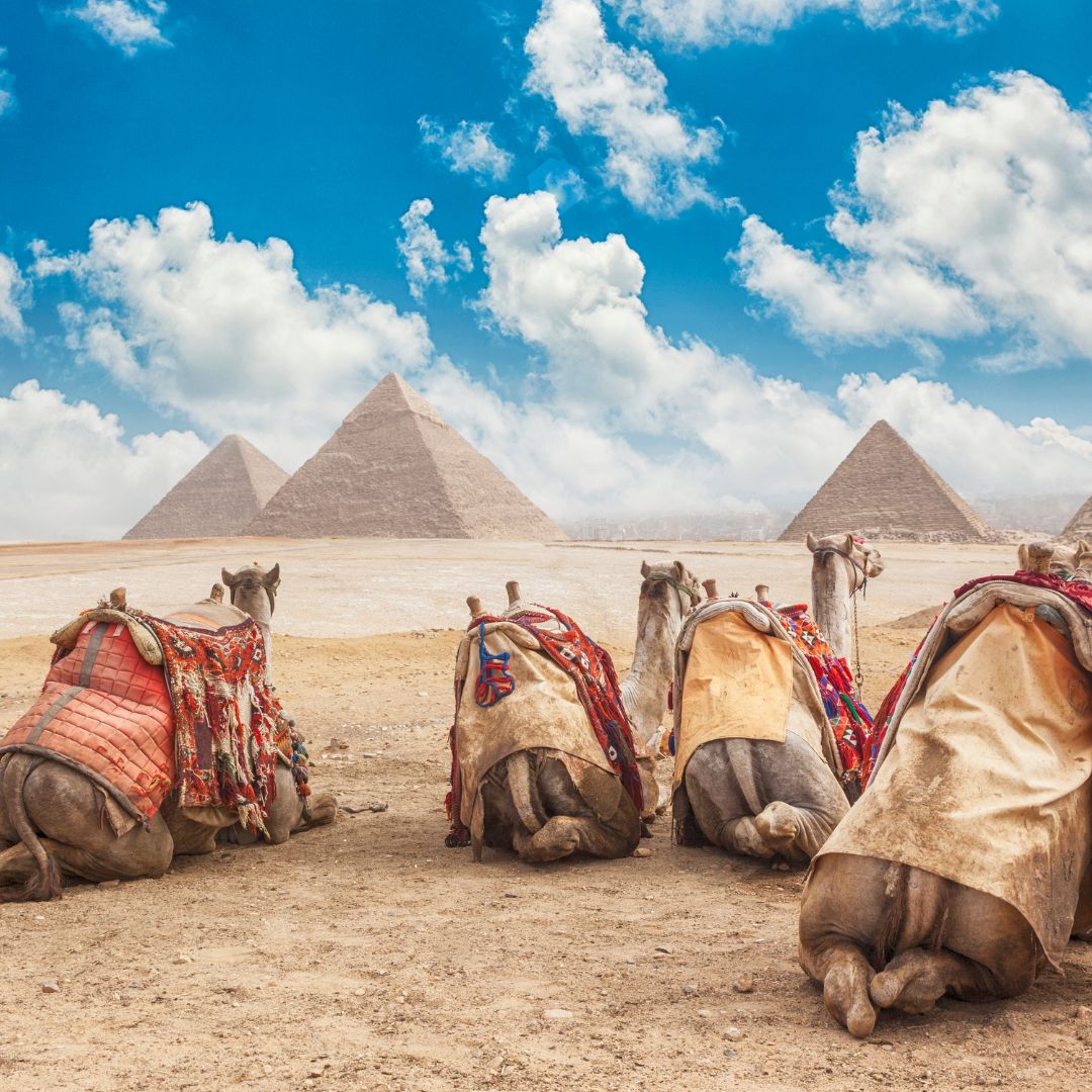 Egypt Tour | 25 - 30 August 2024